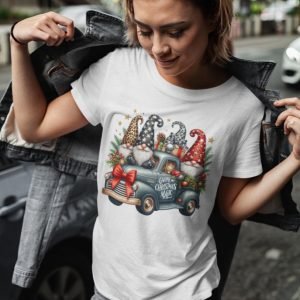 4 Christmas Gnomes in a Car